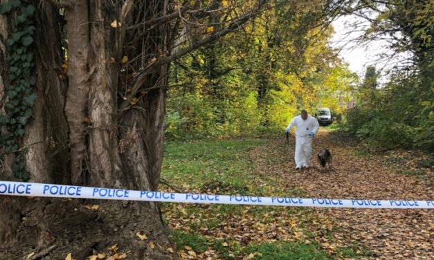 Mezőhegyesi tragédia: ismerőse végzett a 44 éves férfival