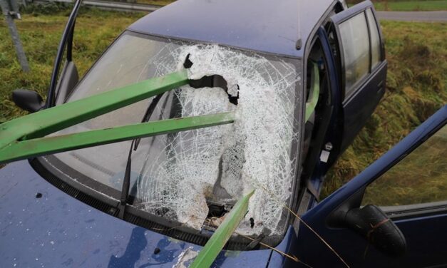 Horrorbaleset Szabadegyházánál: animáció készült a balesetről, amely során a 72 éves sofőr életét vesztette
