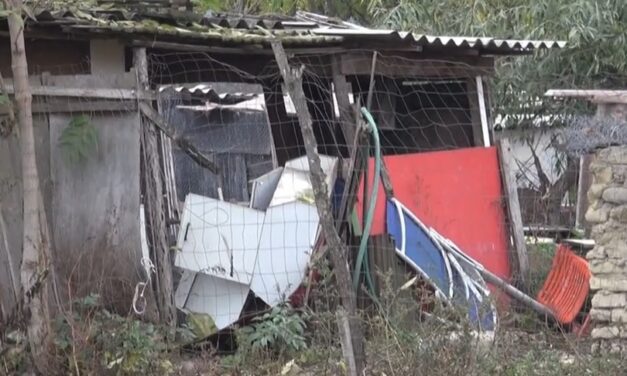 Súlyos testi sérülés van a daruszentmiklósi csecsemő testén, akit a kerti vécébe dobtak a születése után