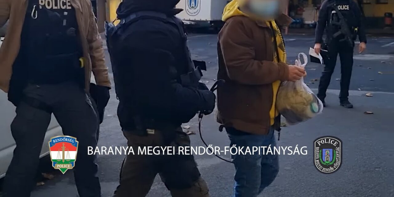 Videón, ahogy elfogják a baranyai gyilkost, aki padlásán rejtegette áldozatának holttestét