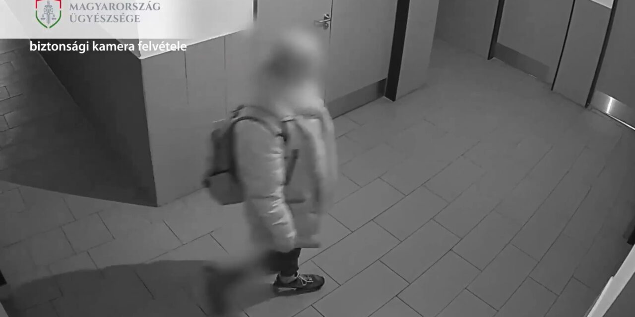 Iskolás gyereket károsított meg a notórius tolvaj, hosszú ideig fegyházban marasztalnák