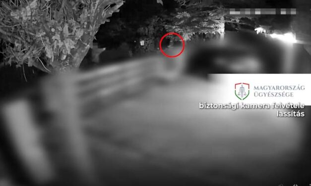 Videóval: „Lőjetek, akkor is megöllek benneteket” – kiabálta a férfi, aki baltával a kezében fenyegette meg a rendőröket