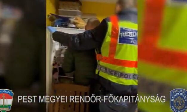 Videón a rajtaütés: újabb dílereket kapcsoltak le a zsaruk Pest megyében