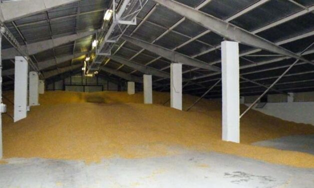 Még mindig szökésben a hírhedt magyar „Keresztanya” – az elbűvölő nő és bűntársai a bankoknak 400 milliós, míg a kukoricacsalással közel 250 milliós kárt okoztak