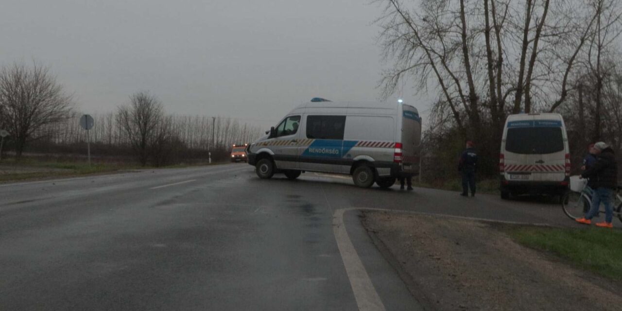 „Megszakad a szívem, ha rá gondolok” – egy kutya miatt halt meg a 10 éves kislány. Egy kamion gázolta el az útra lépő Tiffanit