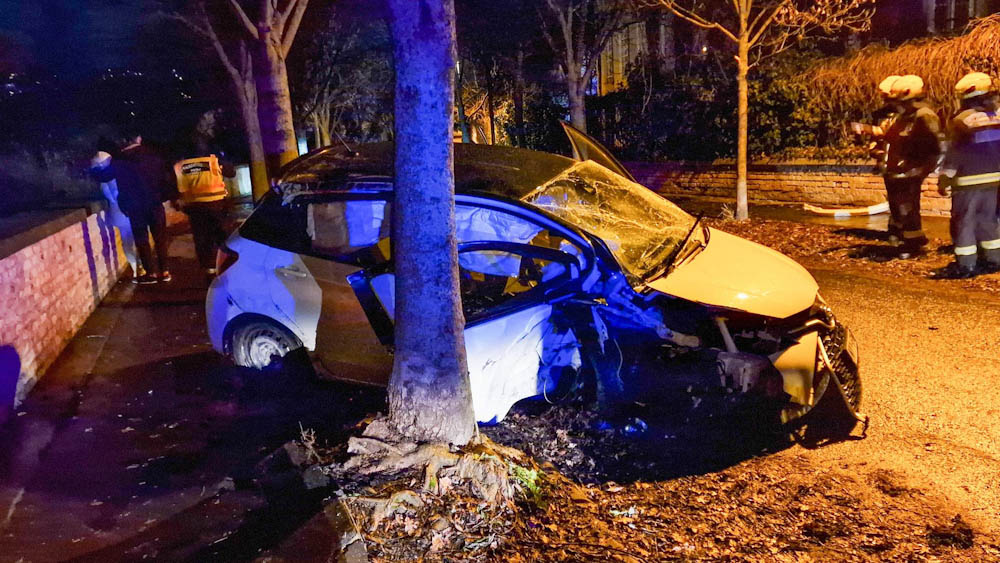 Szinte mindent letarolt a a budapesti Gellért-hegy oldalában az autó, amely felett sofőrje elveszítette az uralmát