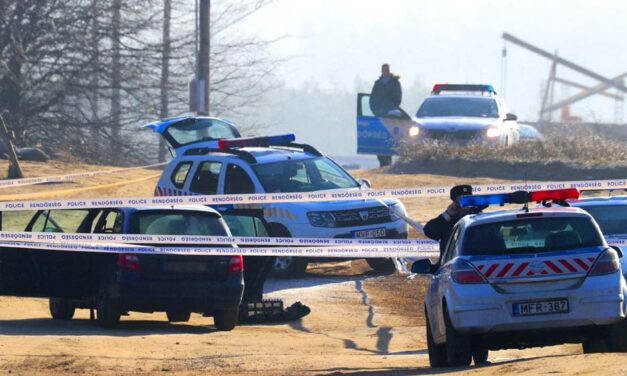 Brutális gyilkosság Erdőkertesen: Vascsővel szétverték a fejét, aztán mobillal lefotózták és magára hagyták a vérző, haldokló rokont a garázsban