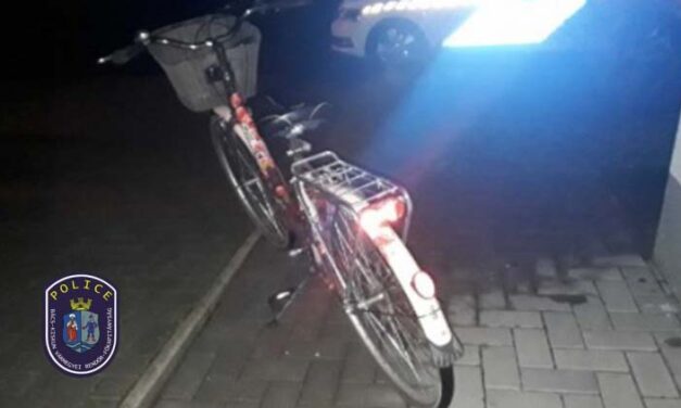 Lopott biciklivel kerekezett egy lengyel kamionsofőr az autópályán, lerobbant kamionjához sietett, amikor lekapcsolták a zsaruk