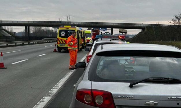 „A leggondosabb orvosi kezelés ellenére a sérült életét nem sikerült megmenteni” – Életét vesztette a 13 éves kislány is, akit elgázoltak az M0-son