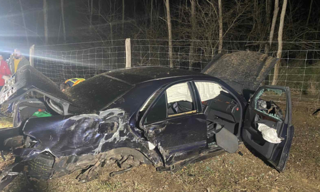 Eszméletlenül találtak rá arra a sofőrre, aki elmenekült az M5-ösön a halálos baleset után