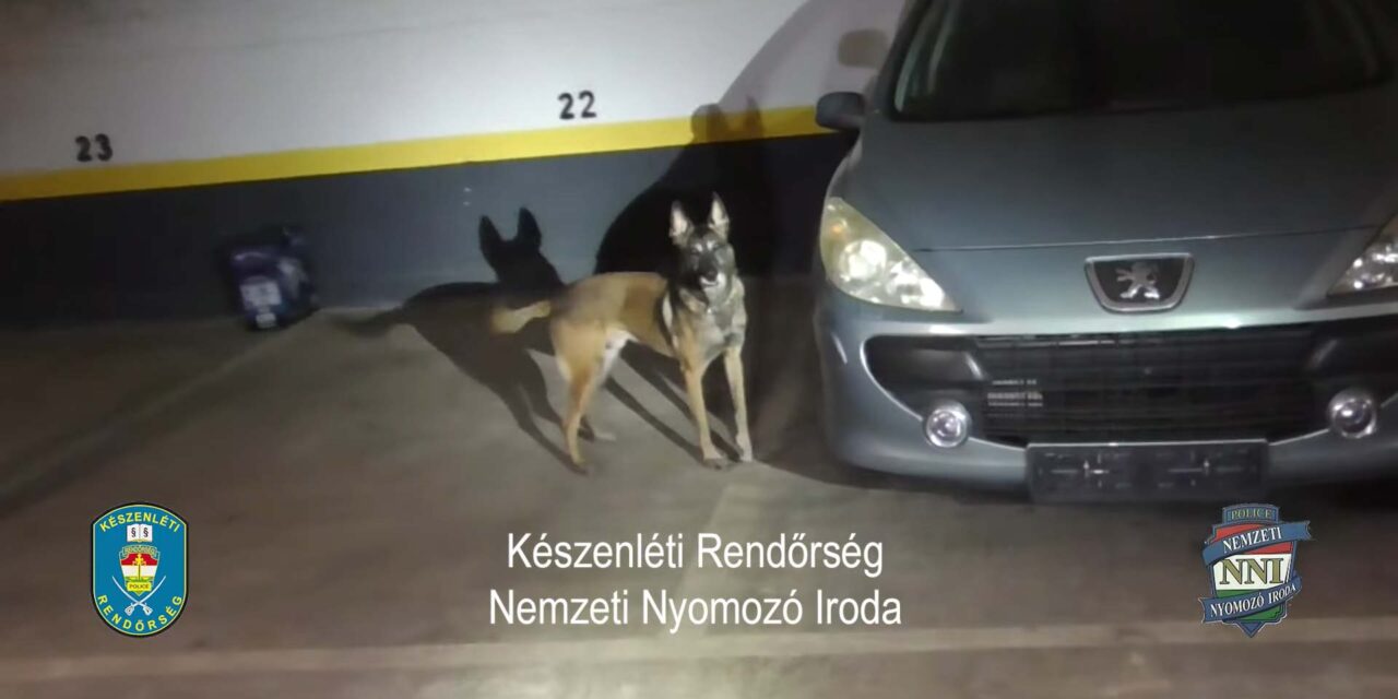 Videó: Tico, a rendőrkutya buktatta le a 47 éves dílert, akinél 367 milliónyi drogot találtak