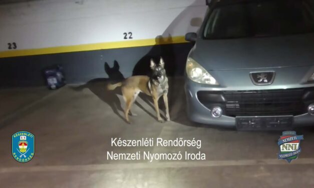 Videó: Tico, a rendőrkutya buktatta le a 47 éves dílert, akinél 367 milliónyi drogot találtak