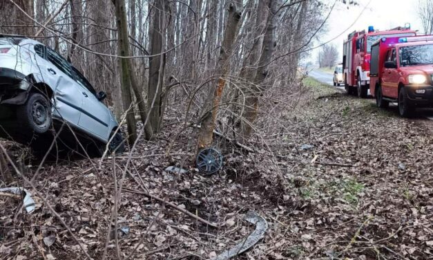 Ijesztő volt a látvány – a fák közé csapódott egy személygépkocsi Csákvár határában