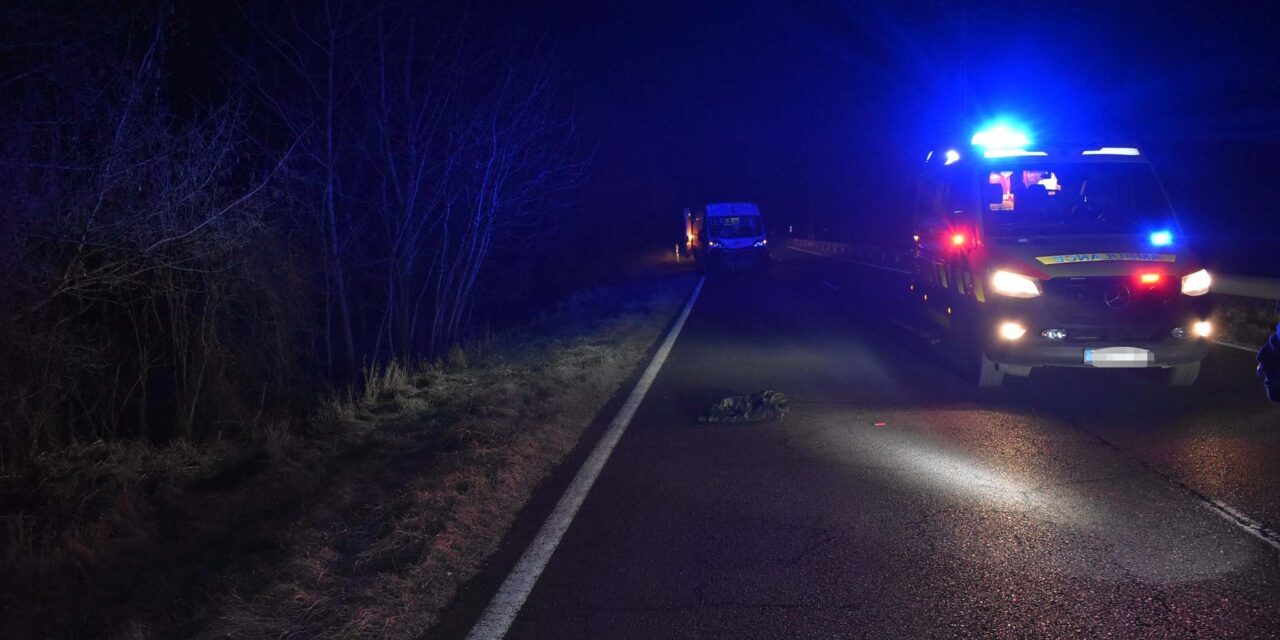 Furgon elé lépett a gyalogos a 71-es főúton, elkerülhetetlen volt a súlyos ütközés