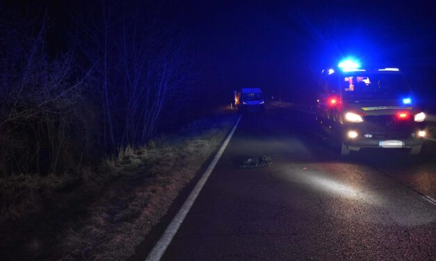 Furgon elé lépett a gyalogos a 71-es főúton, elkerülhetetlen volt a súlyos ütközés