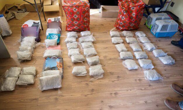 Drogkereskedőket fogott el a rendőrség Pest vármegyében