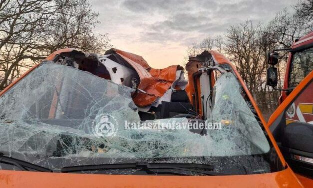 Ez nagyon durva volt! Az ütközés után a levegőbe repült, majd totálkárosra tört egy kisteherautót az elgázolt szarvas