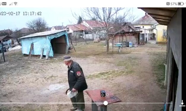 Kétségbeesett keresés Csévharaszton – hetek óta nem találják a 78 éves Bartuszek Józsefet. Kutatócsapatot szerveznek a helyiek vasárnapra