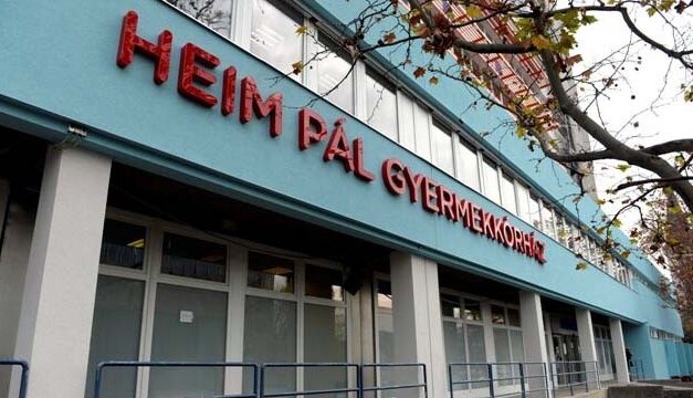 Húsdarálóba szorultak egy kétéves kislány ujjai, a Heim Pál orvosai megmentették a kezét – Mentőhelikopterrel szállították kórházba