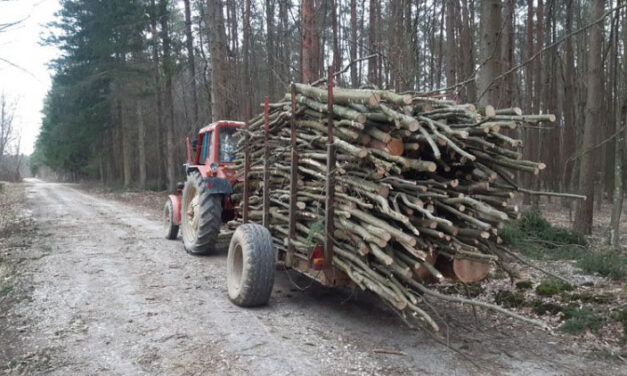 Tragédiával indult a nemzeti ünnep Vas vármegyében: azonnal szörnyethalt a férfi, aki leesett egy traktorról