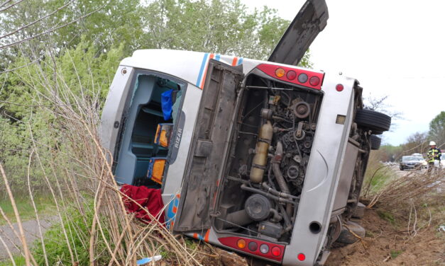 Árokba borult egy busz Kiskunhalasnál: 12 embert vittek kórházba – Drámai fotók a helyszínről
