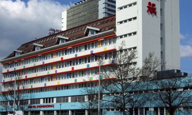 „Nagyon megviselt, ha becsukom a szemem, mást nem látok, csak azt a darálót” – megbocsátott nagymamájának és nagykőrösi otthonában gyógyul a kétéves kislány, aki kis híján levágta a saját kezét