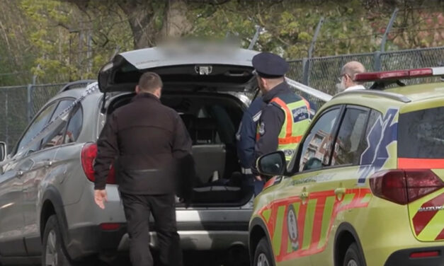 A nevelőanyát gyanúsítják a csomagtatrtóban talált gyermek halála miatt, szabadlábon védekezhet