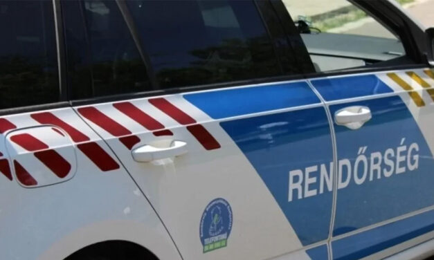Borsodban a rendőrökre támadt az apa és fia, megbilincselve távoztak a szórakozóhelyről