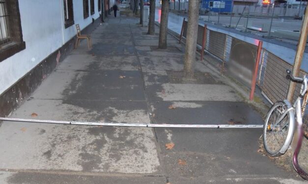 Két férfi úgy megvert egy ittas nőt, hogy az majdnem belehalt a sérüléseibe