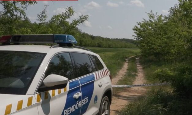 Szörnyű: A feje le volt takarva, a hasa sem mozgott, a babájával együtt halt meg a nyírkátai erdőben megtalált nő