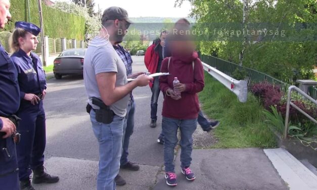 „Nagyon mérges lett anyám rám, ezért idejöttem, és megöltem” – döbbenetes videóban ismeri be a nő, hogy végzett a nevelőanyjával a Rózsadombon