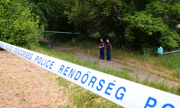Korábban eltűnt férfi holttestét találták meg egy autóban Ősinél