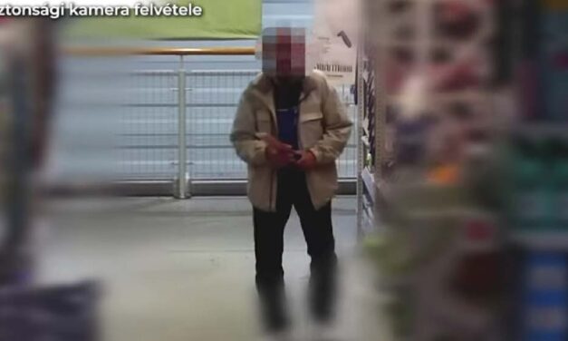Másfél évig börtönben kell lennie annak a férfinak, aki késeket és ollókat lopott az OBI-ból