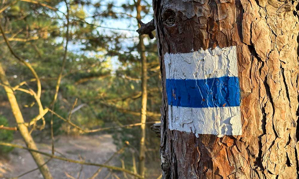 Túrázót mentettek Nagymaroson: olyan súlyosan megsérült, hogy nem tudott lejönni a kilátóból