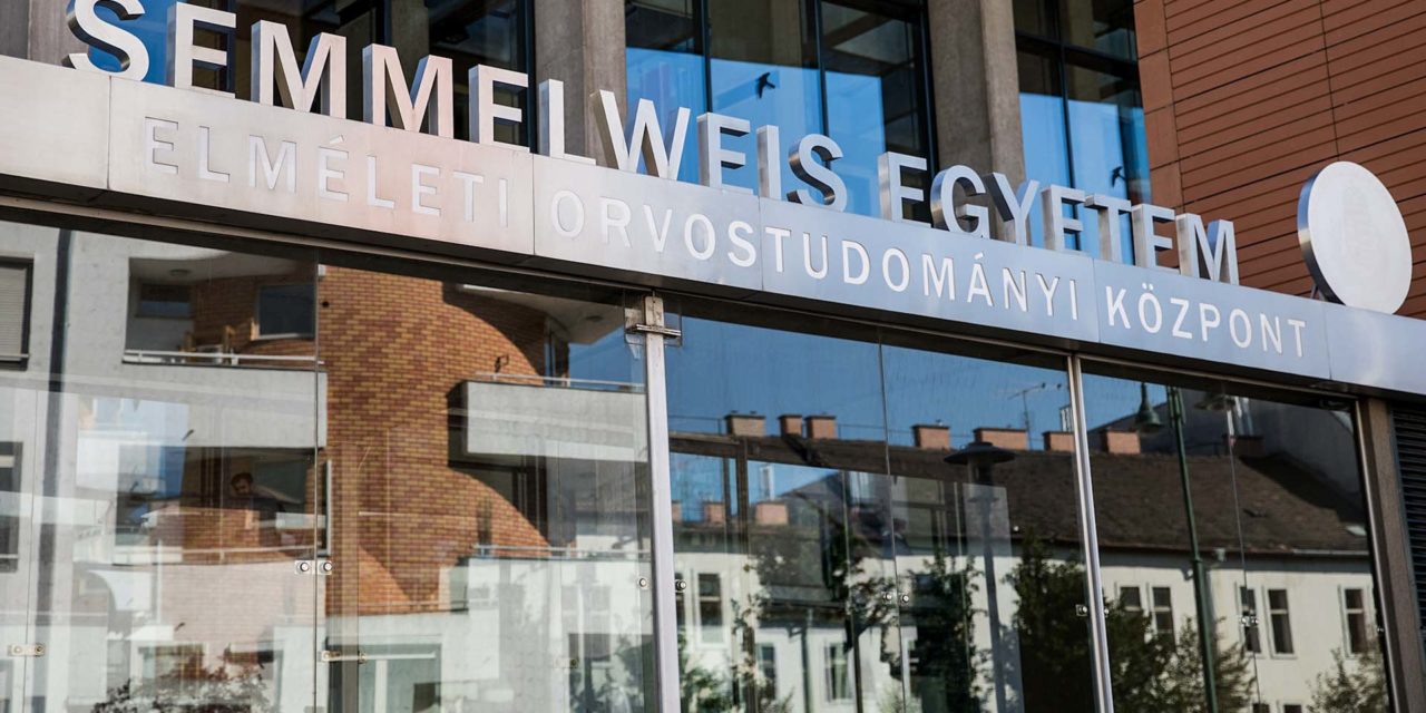 Drága gikszer: 700 millió forintos készülék ment tönkre a Semmelweis Egyetemen, miközben vizsgáltak egy kutyát