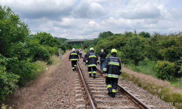 Felelőtlen gyalogos a síneken – elsodort a vonat egy embert Bátaszék közelében