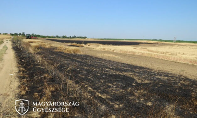 Heccből gyújtotta fel egy búzatáblát, csaknem 1 millió forintos kárt okozott – rács mögé kerülhet a felelőtlen elkövető