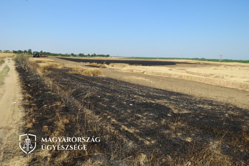 Heccből gyújtotta fel egy búzatáblát, csaknem 1 millió forintos kárt okozott – rács mögé kerülhet a felelőtlen elkövető