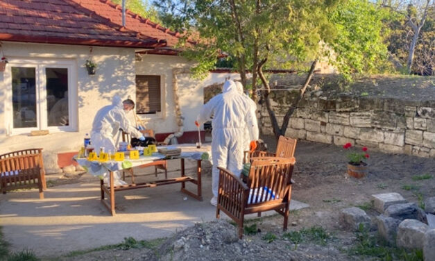 19 év fegyházat kaphat jogerősen a lakótársaira fejszével támadó diósdi fiú