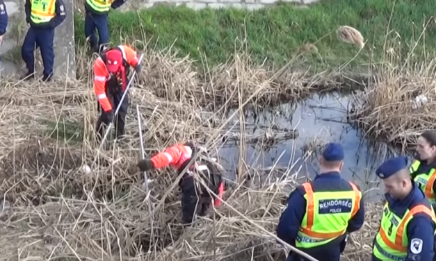 Ismeretlenek dúlták fel a a meggyilkolt 6 éves szekszárdi kislány sírját