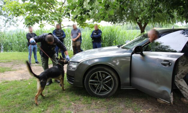Újabb dílerek kezén kattant a bilincs: így számolták fel a droghálózatot a nyíregyházi nyomozók – videó