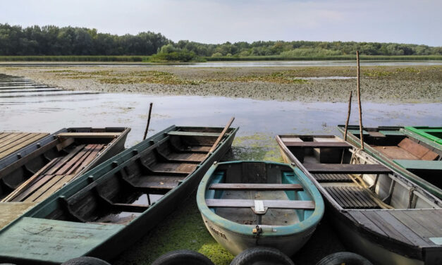 „Hirtelen azt hittem, hogy csak egy bábu, aztán sokkolt a valóság”- Öt hónap után találták meg a Tiszába borult 17 éves János holttestét
