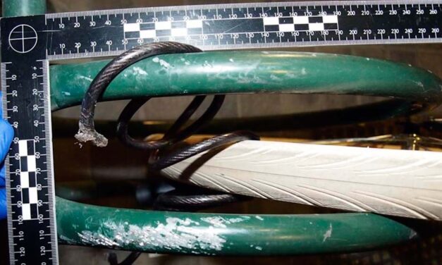 Hentesbárddal lopott biciklit a tolvaj, de két rendőr épp arra járt