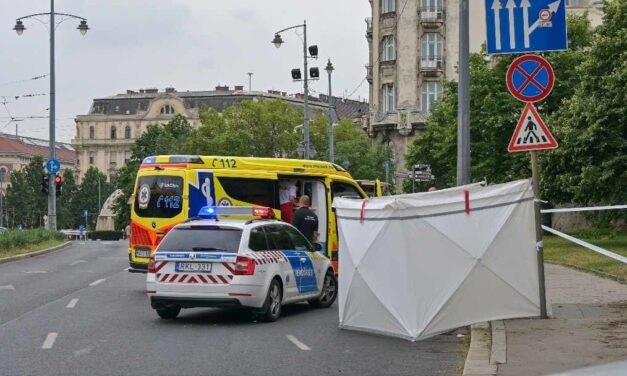 Azonnal meghalt a részeg férfi, aki lezuhant a Gellért-hegyről – helyszíni fotók