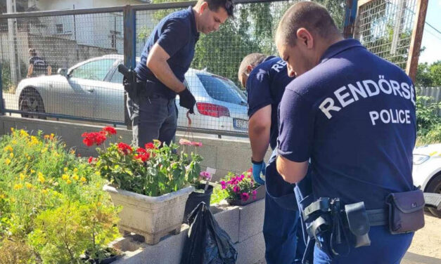 A pincétől a padlásig mindent átkutattak a rendőrök, egy kistarcsai drogpárost kapcsoltak le