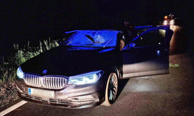 Szörnyű baleset: egy autó ablakán, a gyerekek közé robbant be egy őz