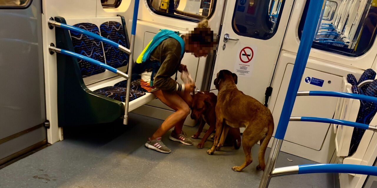 Eszméletlen nőt találtak a 3-as metró Kőér utcai kocsiszínjében!