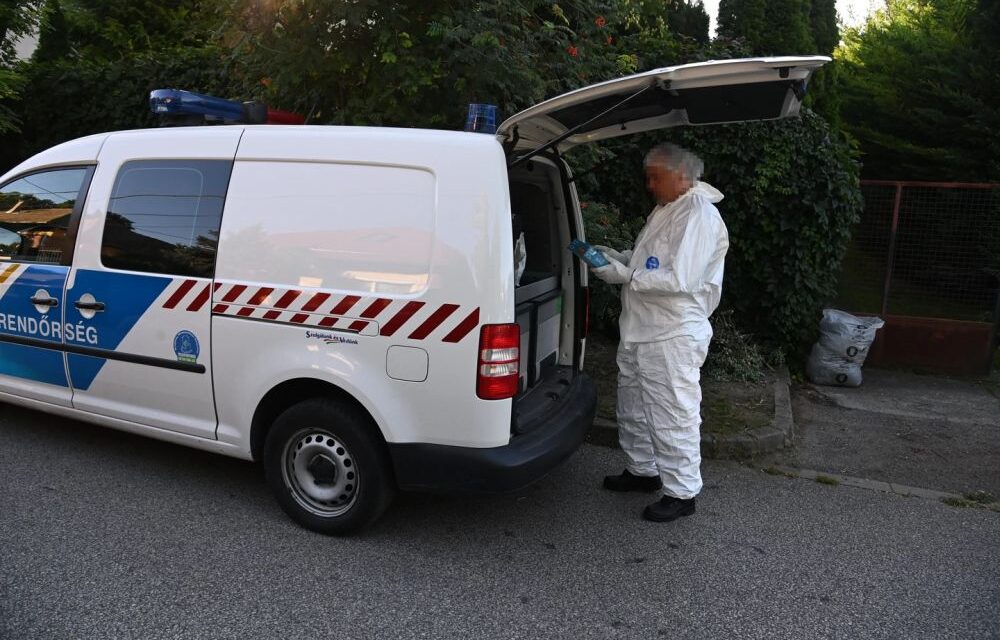 Hangok súgtak a férfinak, hogy végezzen az édesanyjával a Budapesten, álmában támadt rá