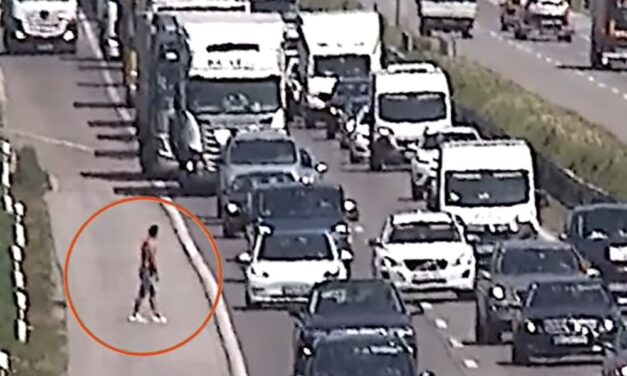 Döbbenet: Az M1-es közepén állt meg egy kisbusz, kiszállt belőle egy férfi, majd a bozótban könnyített magán