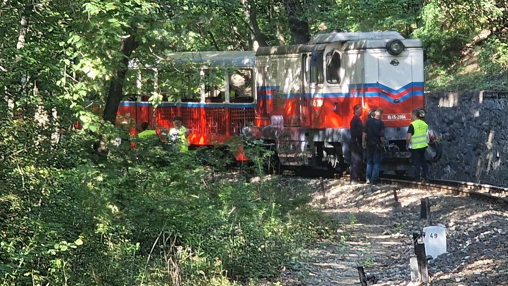 Kisiklott a Gyermekvasút szerelvényének egyik kocsija